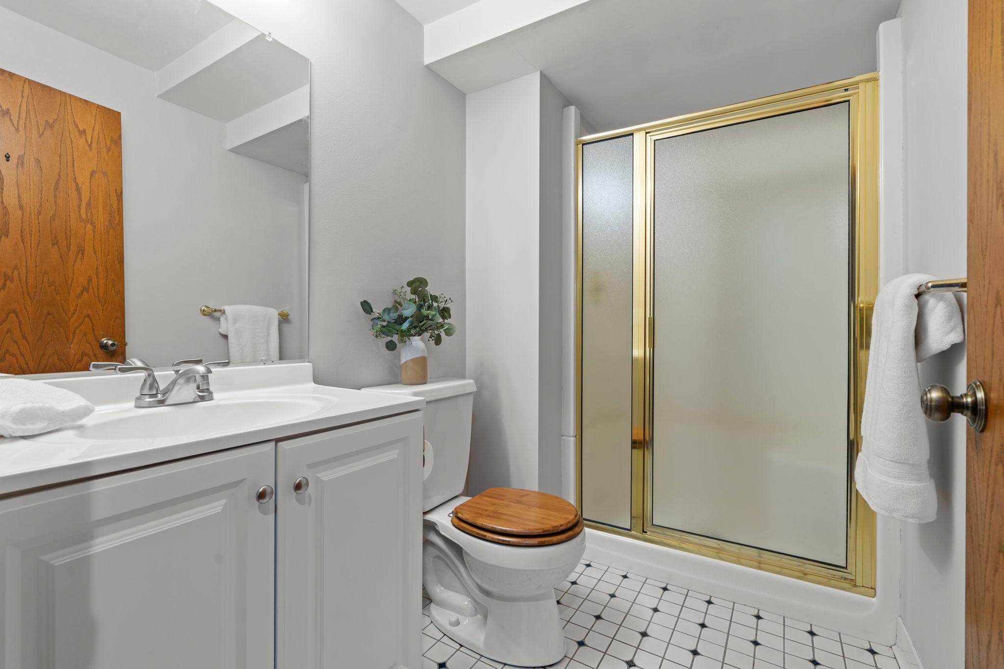 Lower level 3/4 bathroom