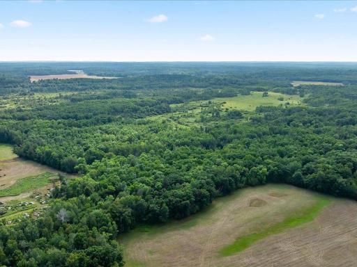 01-DJI_20260819185045_0341_D.jpg