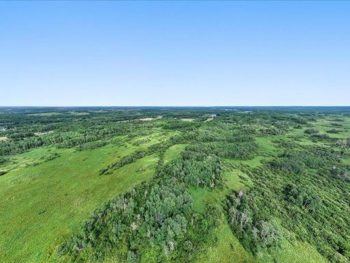 14-DJI_20260819185538_0378_D.jpg