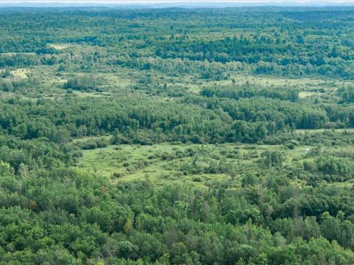 04-DJI_20260819185149_0350_D.jpg