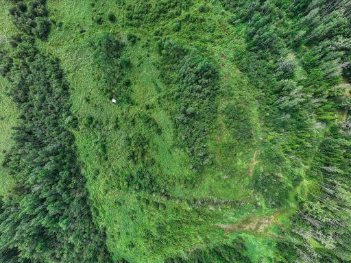 22-DJI_20260819185904_0396_D.jpg