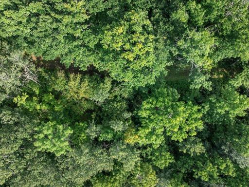 29-DJI_20260819190524_0417_D.jpg