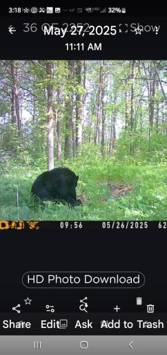Screenshot_20260819-151827_Photos.JPG