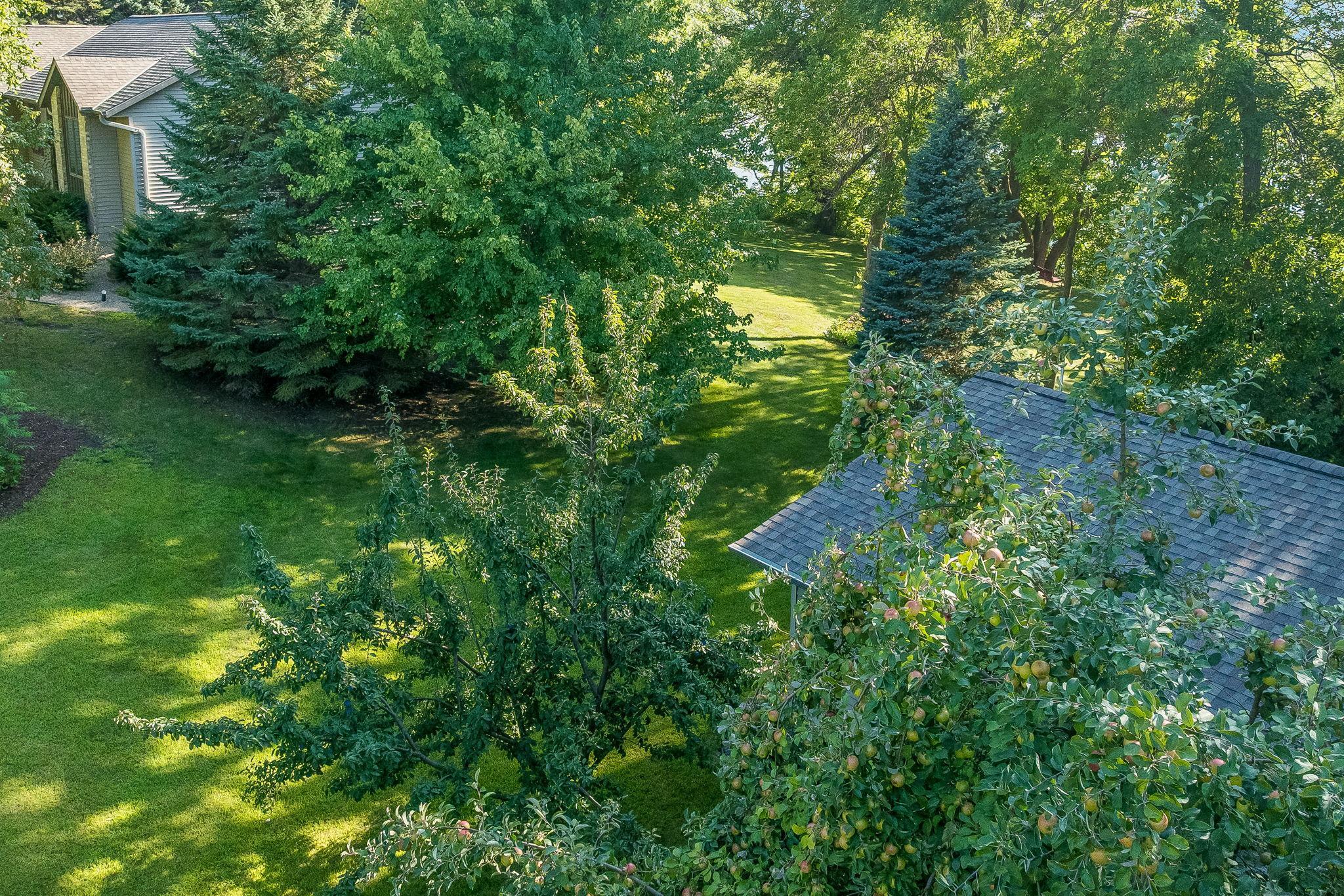 24200 Gingerale Trail Madison Lake MN-09.jpg