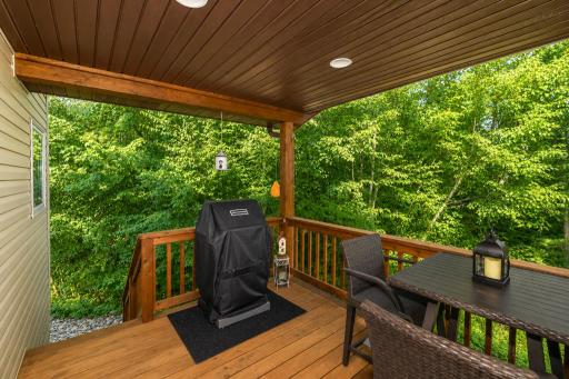 31492 Green Scene Drive, Breezy Point, MN 56472
