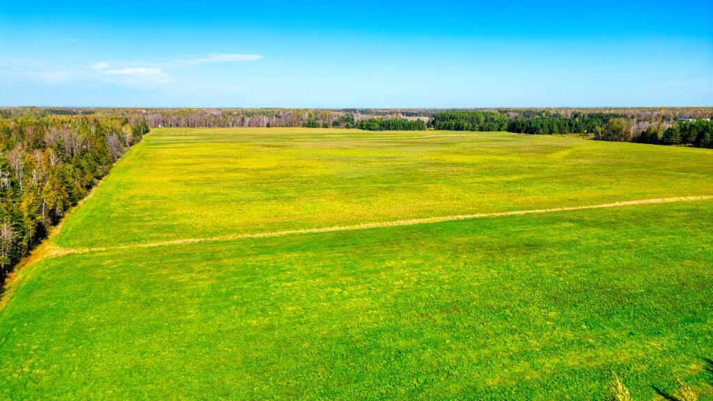 Level, high hay field