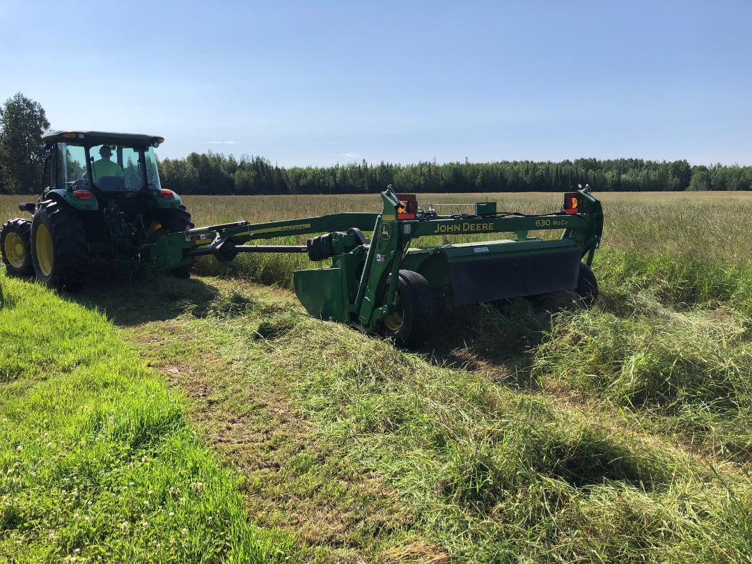 Hay crop
