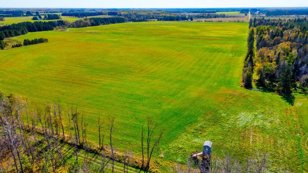 Big time hay production