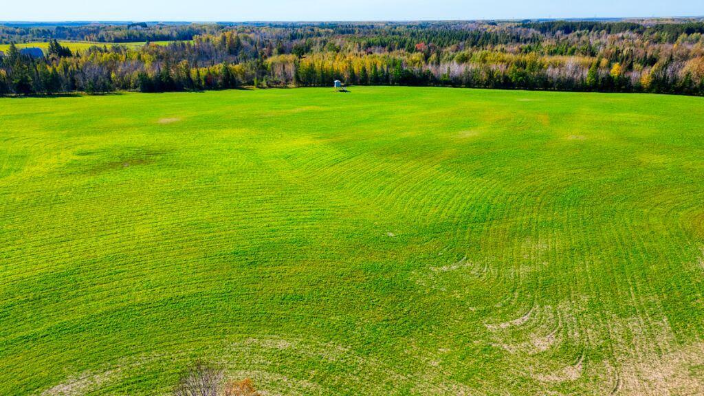 Northern MN tillable ground