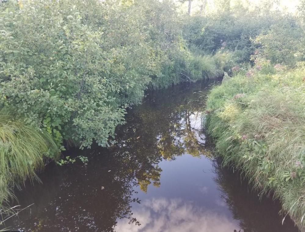 Sand Creek, a designated Trout Stream, flows through the NE corner of the property
