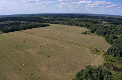 TBD Arkola Road, Toivola, MN 55765