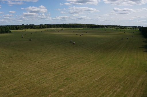 TBD Arkola Road, Toivola, MN 55765