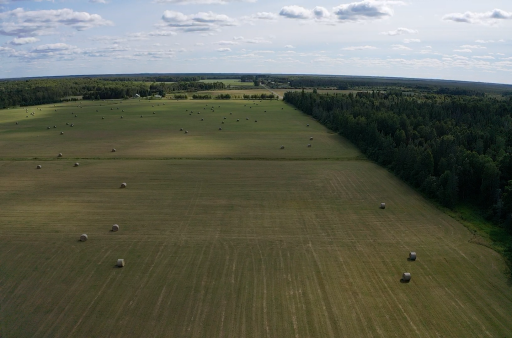 TBD Arkola Road, Toivola, MN 55765