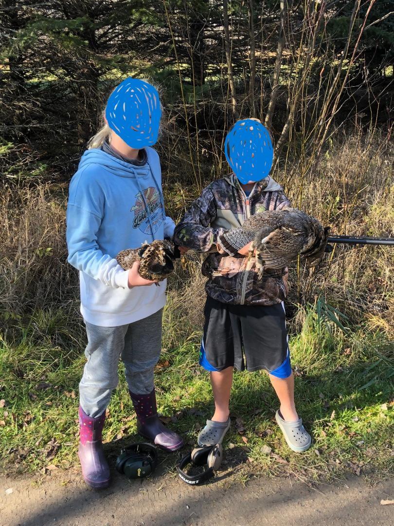 Plenty of Grouse