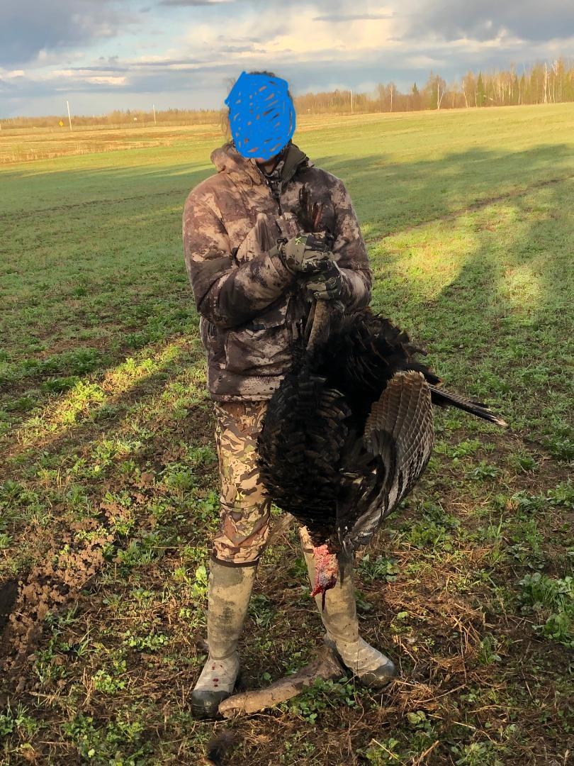 High quality turkey hunting
