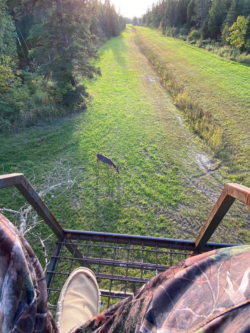 Excellent hunting opportunities