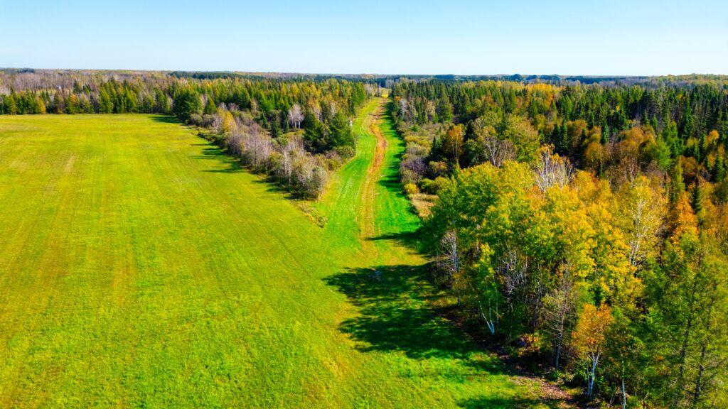 North Line of the 80 acres