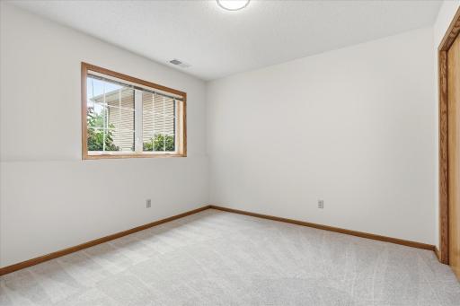 Spacious lower level 4th Bedroom with new carpet 2026 and large closet w/organizer