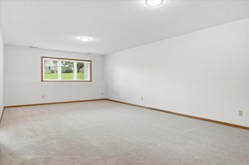 Spacious lower level 27ft long Family Room with new carpet and lookout Anderson windows. Could be divided into two separate areas for flexible living space for entertaining
