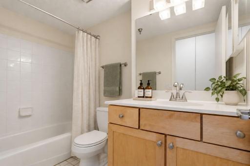 401 S 1st Street, 1103, Minneapolis, MN 55401