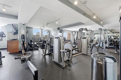 401 S 1st Street, 1103, Minneapolis, MN 55401