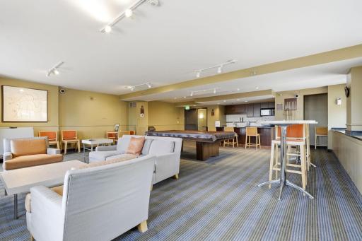 401 S 1st Street, 1103, Minneapolis, MN 55401