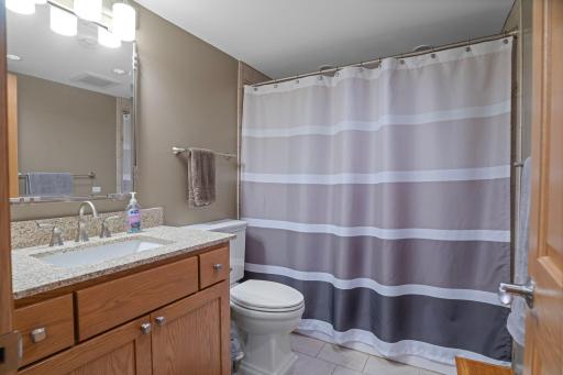 Lower Level Bath