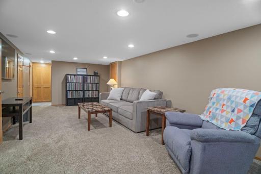 Lower Level Family Room