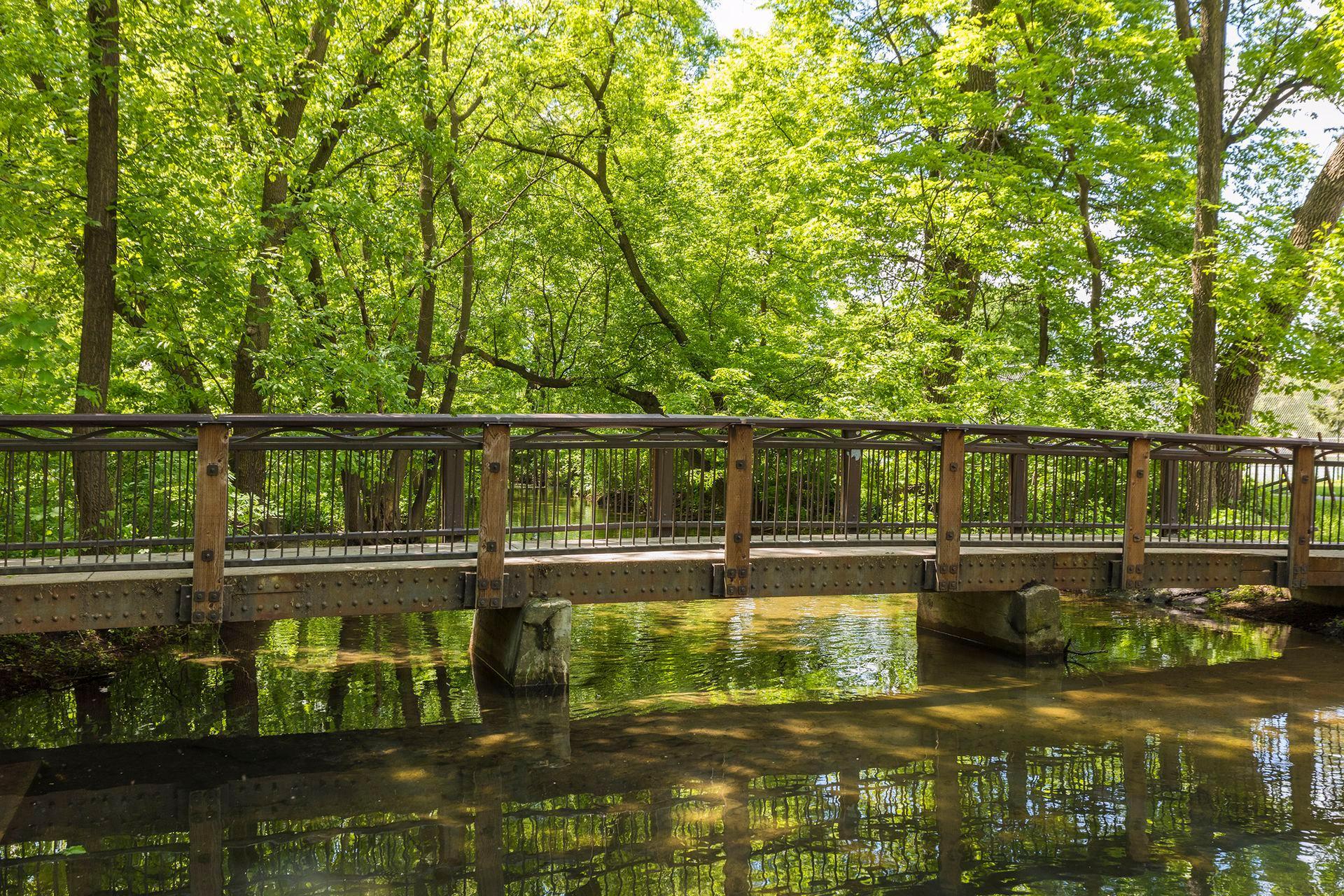 Steps from the Minnehaha Creek