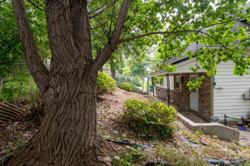 609 Lakeshore Drive, Ortonville, MN 56278