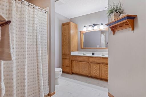 1736 White Oak Drive, Chaska, MN 55318