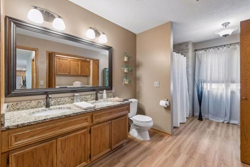 1736 White Oak Drive, Chaska, MN 55318