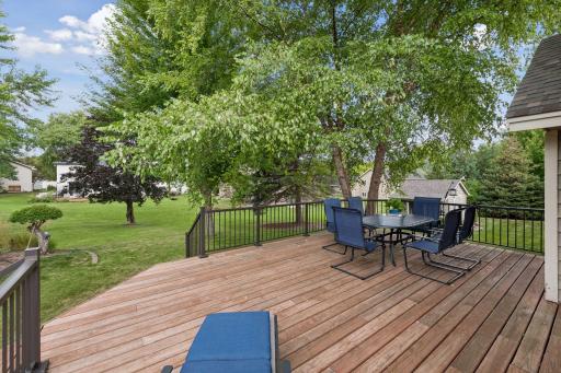 1736 White Oak Drive, Chaska, MN 55318
