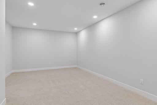 Flex Space - Could be a movie theater, workout space, etc.