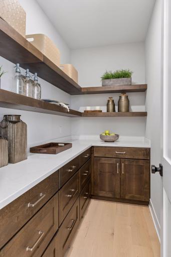 Walk-In Pantry