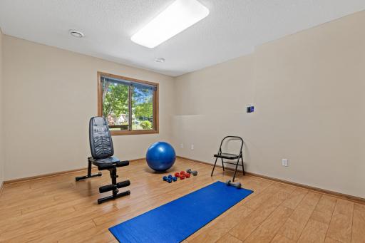 Lower level bedroom 5 is perfect for a fitness room, guest space, and more.