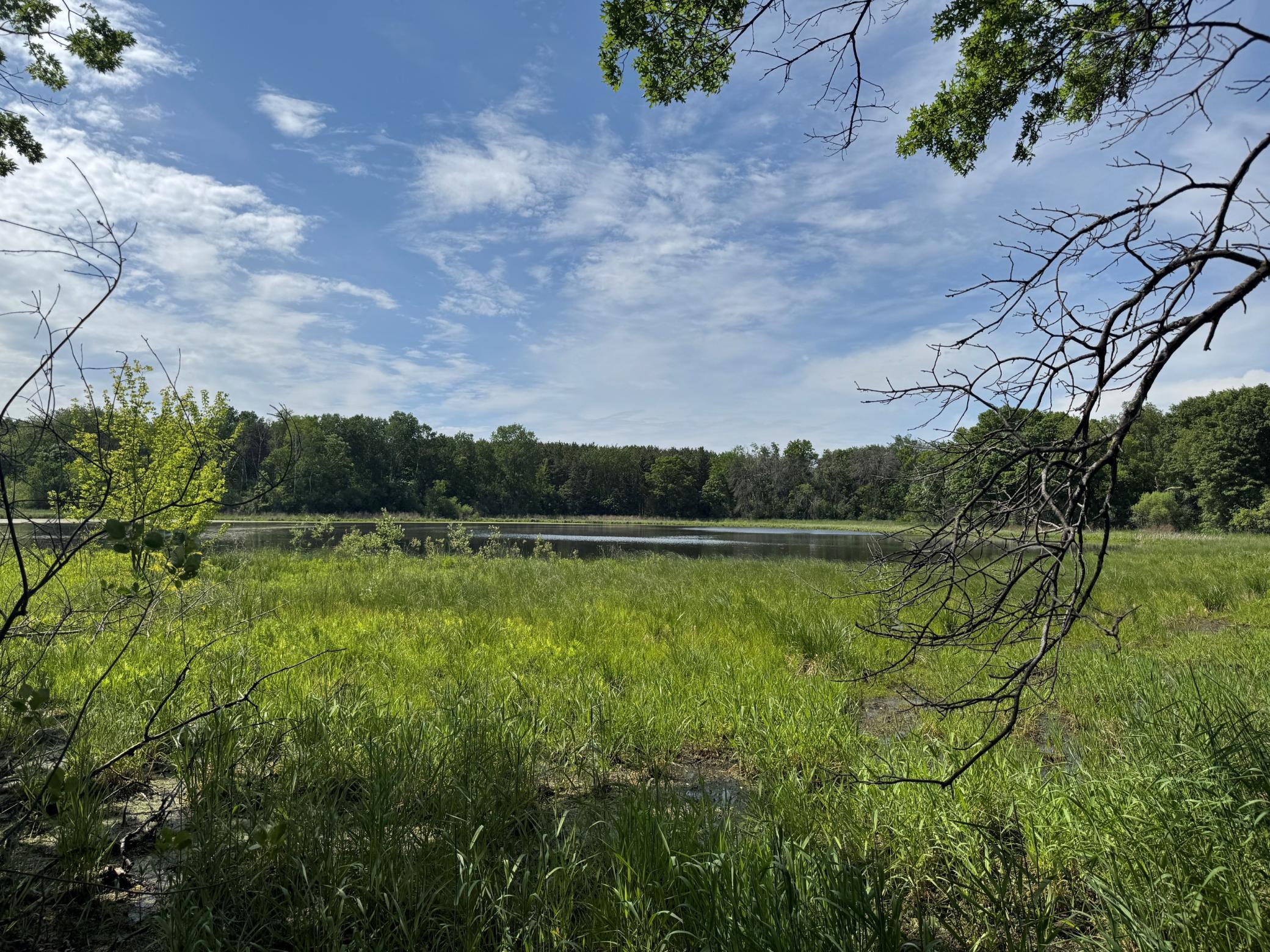 Hawthorne Secluded Pond.jpg