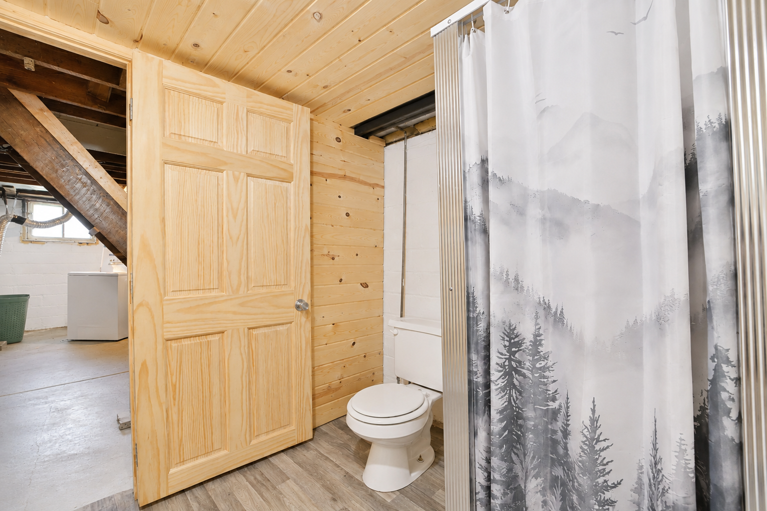 Basement Bathroom