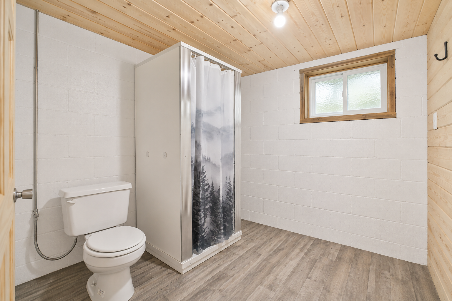 Basement Bathroom