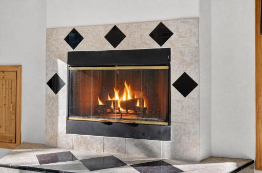 313 - Living room fireplace