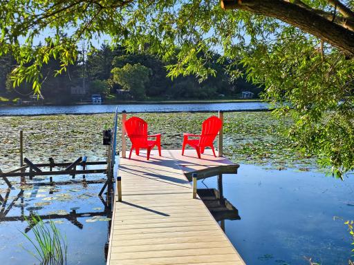 313 - Dock & Boat lift