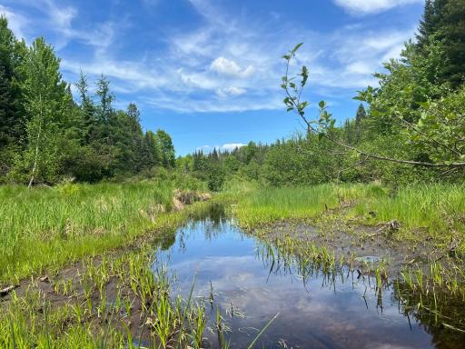 Devils Creek flows across the South Border
