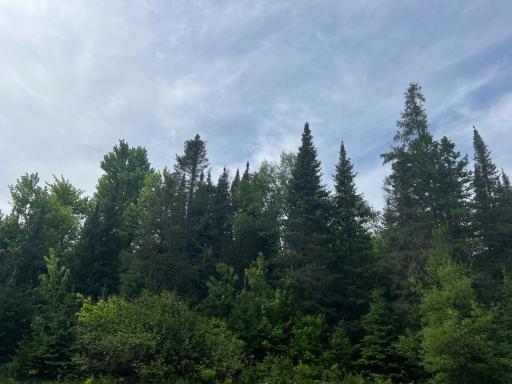 Lot 1 Smith Road N, Couderay, WI 54828