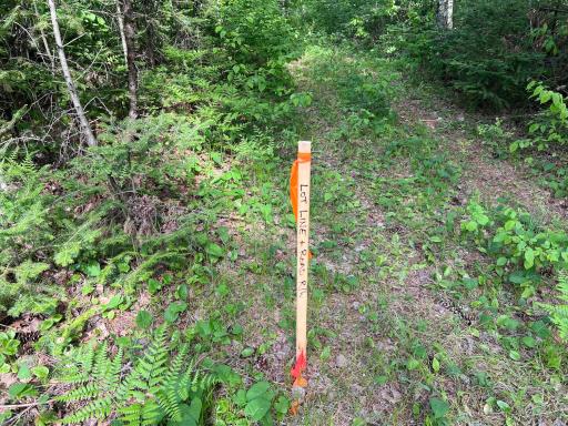 Lot 1 Smith Road N, Couderay, WI 54828