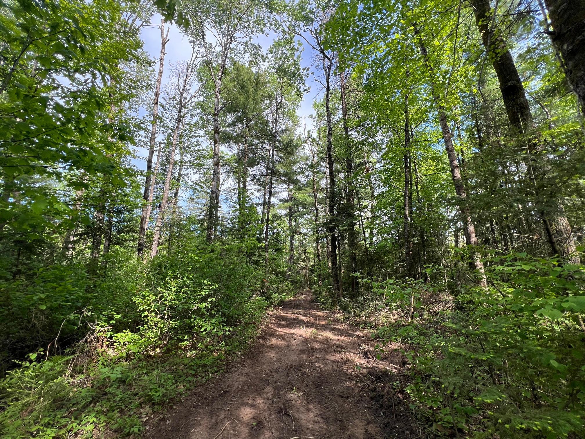 Trail