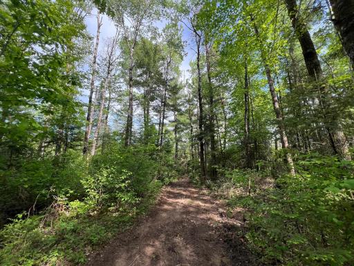 Lot 1 Smith Road N, Couderay, WI 54828