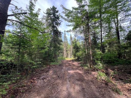 Main trail leads from Smith Road SE to Devils Creek
