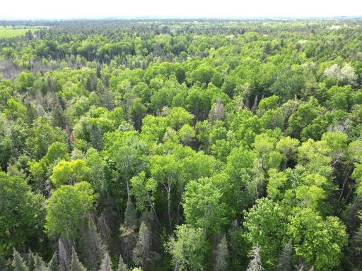 Lot 1 Smith Road N, Couderay, WI 54828