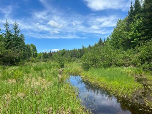 Lot 1 Smith Road N, Couderay, WI 54828
