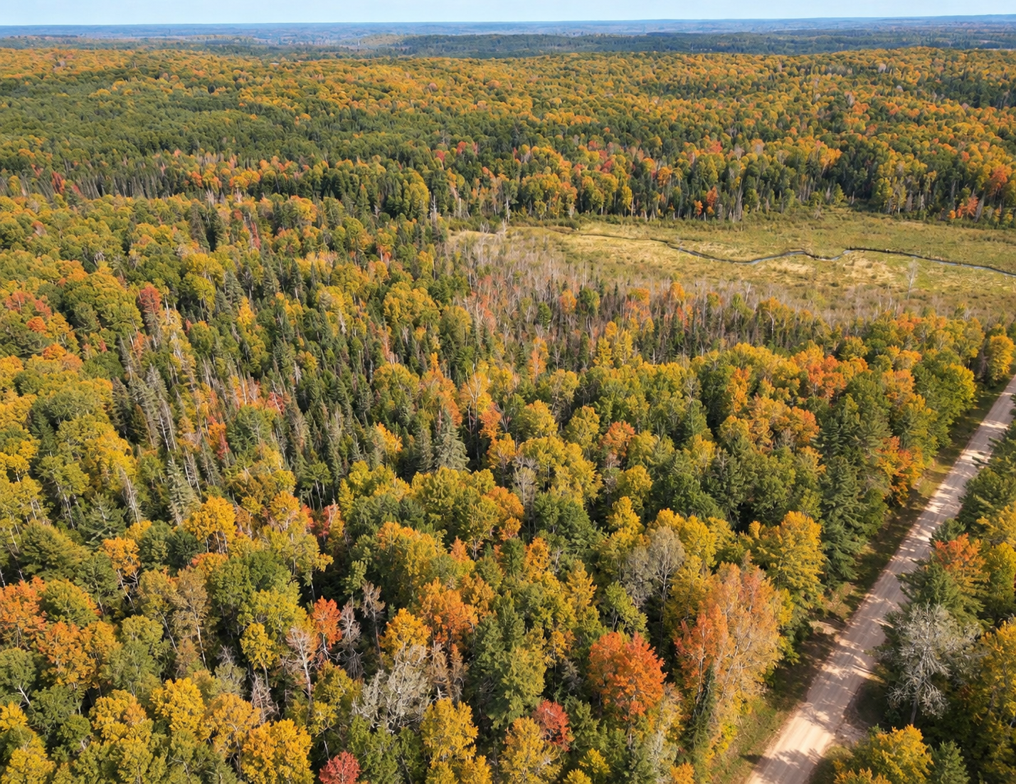 The NW corner of the land sits high up on a hill overlooking the creek